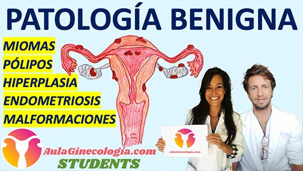 Patología Benigna Aula Ginecología Students
