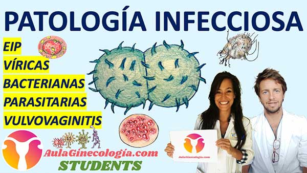 Patología Infecciosa Aula Ginecología Students