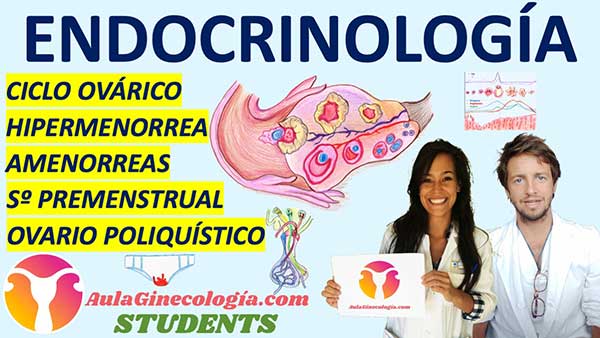 Endocrinología Aula Ginecología Students
