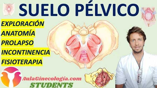 Suelo Pélvico Aula Ginecología Students