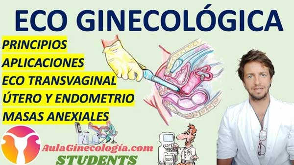 Ecografía Ginecológica Aula Ginecología Students