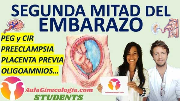 Segunda mitad del embarazo Aula Ginecología Students